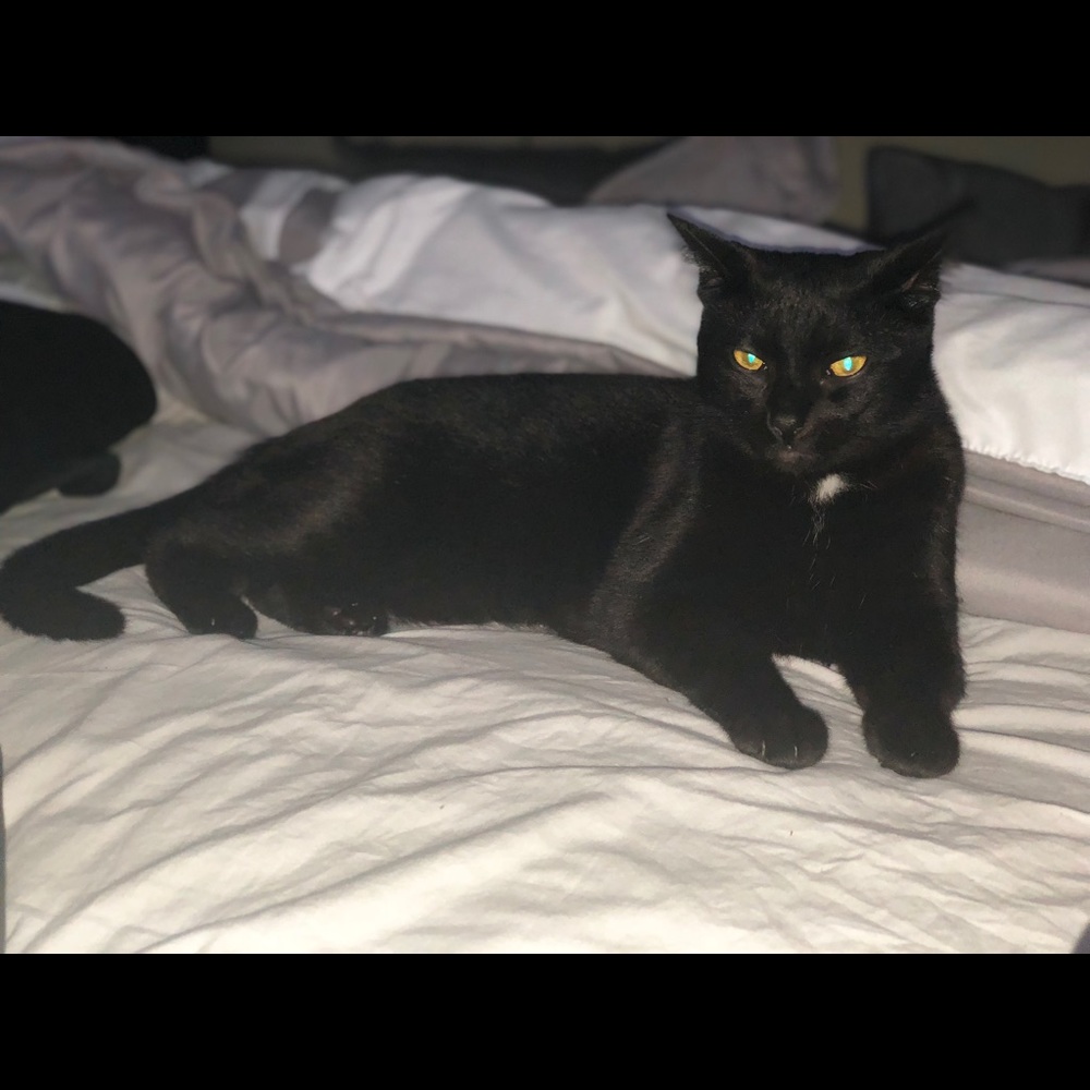 Meet your Posher, Sakinah